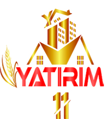 Yatırım 11